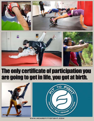 Krav Maga Chicago: Training matters