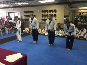 Taekwondo classes