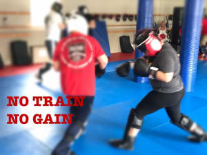No Train No Gain
