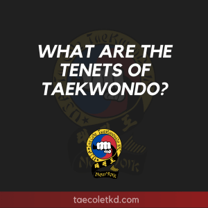 TKD Tip Tuesday: Tenants of TKD