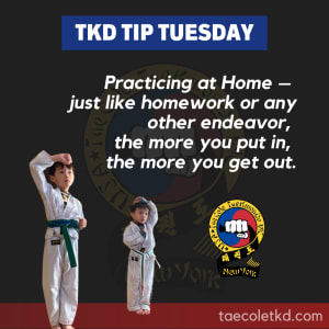 TKD Tip Tuesday: Practicing at Home