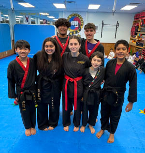 The History of World Taekwondo: From Tradition to Global Recognition