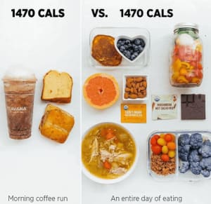Nutrient Density vs Calorie Dense