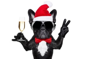 CHRISTMAS PARTY IS THIS SATURDAY!