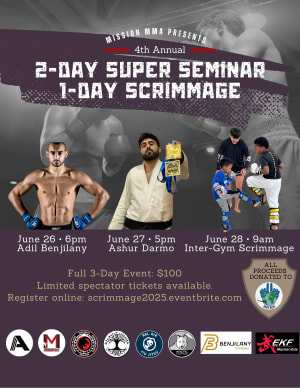 Martial Arts Fundraiser: 2 Days of Seminars - 1 Day Scrimmage