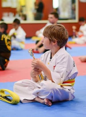 About Taekwondo