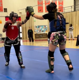 Women in Martial Arts: Breaking Barriers and Stereotypes