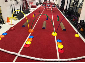 Chicago's Best Active Birthday Parties