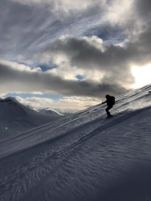 Sally's Bucket List Story 