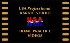 Announcing Home Practice Videos