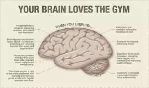 Are You Safe From Yourself? 