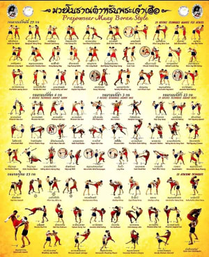 Beyond the Ring: Discovering the Lethal Roots of Muay Boran in Quincy