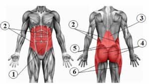 Looking for Core Strength Training Tips? Read On...