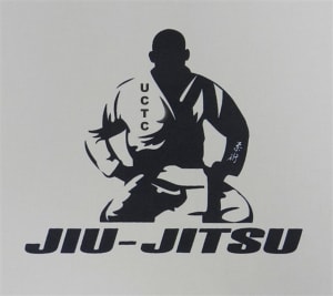 Is Jiu Jitsu Good for Children?