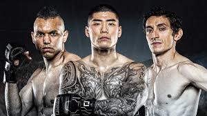 Combat Fighters Can Improve Their Performance by Reviewing Their Training