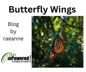 Butterfly Wings