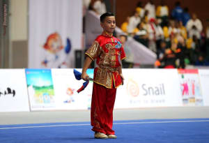 7th World Kung Fu Championship Emeishan, China