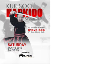 KUK SOOL HAPKIDO SEMINAR
