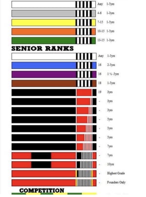 Accurate BJJ Belt Promotion Timeline
