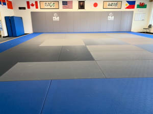 Coming Soon:  Kokushi Midwest Virtual Dojo