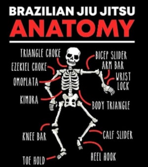 The Science Behind Jiu-Jitsu: Understanding Biomechanics and Physics in BJJ