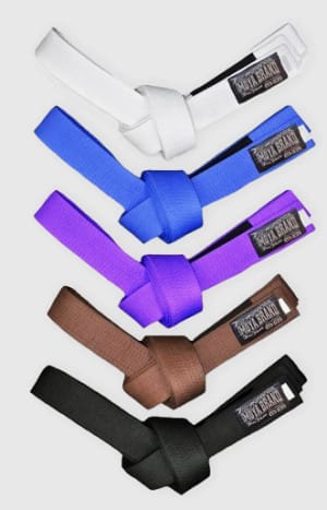  Breaking Down Jiu-Jitsu Belt Progressions: What Each Belt Means