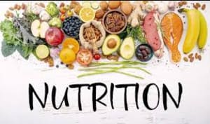  The Role of Diet and Nutrition in Jiu-Jitsu Performance