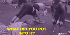 What did you put into it?