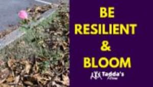 “Be Resilient and Bloom”