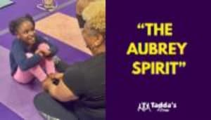 THE AUBREY SPIRIT