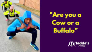  “Are you a Cow or a Buffalo?"