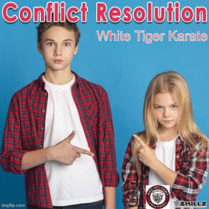 Conflict Resolution