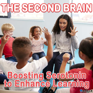 The Second Brain  Boosting Serotonin to Enhance Learning