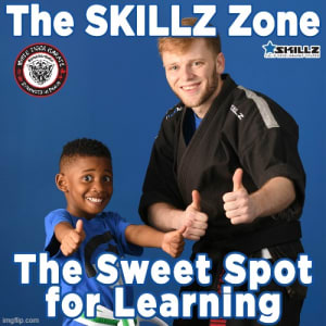 The SKILLZ Zone  The Sweet Spot for Learning