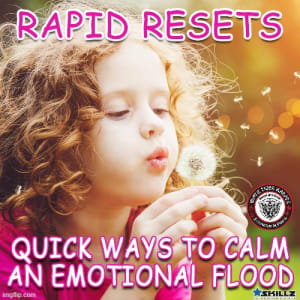 Rapid Resets  Quick Ways to Calm an Emotional Flood