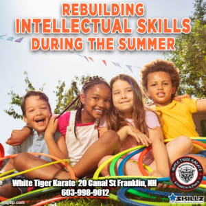 Rebuilding Intellectual Skills During the Summer