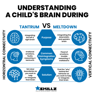 Understanding Horizontal and Vertical Connectivity in Child Development