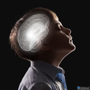 The Developing Mind: Understanding Your Child's Behavior