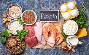 Protein: Nature's Weight Loss Drug