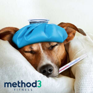 How To Get Back On Track After Being Sick