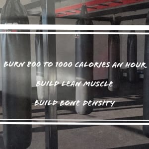 Haslet Fitness Kickboxing 