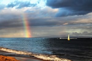 Hurricane Nicole Update 