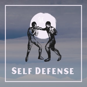 Reasons to Learn Martial Arts - #5