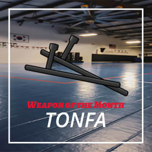 WEAPON OF THE MONTH - TONFA