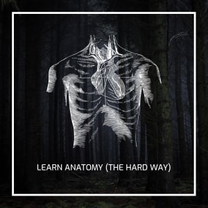 LEARN ANATOMY (THE HARD WAY)