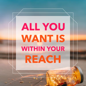 All You Want is Within Your Reach by Chris Widener