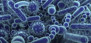 Future Health Trends, Current Thoughts and Optimistic Observations