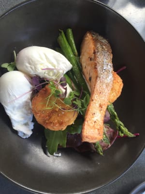 Protein - what you need to know! 