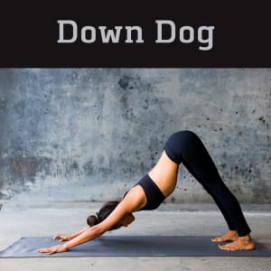 Yoga Poses for Beginners Down Dog