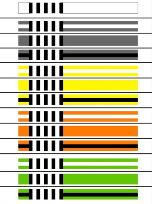 Youth Jiu Jitsu Belts 